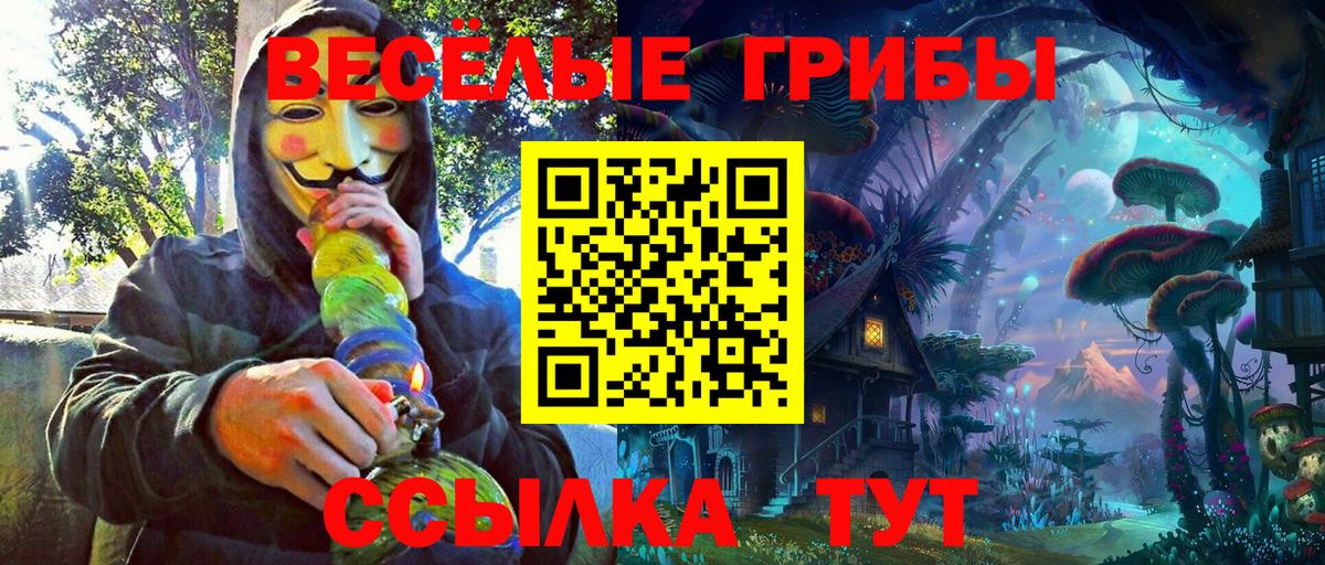 как найти наркотики  Псилоцибиновые грибы Psilocybine cubensis  Вход с VPN  Минусинск 